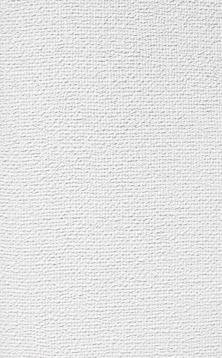 Tapete DIE PATENTEN FÜNF  2030 #2206 0491 25,00 x 0,75 m - Detail 1