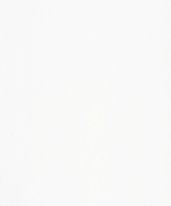 Tapete DIE PATENTEN FÜNF  2030 #2206 0502 10,05 x 0,53 m - Detail 1