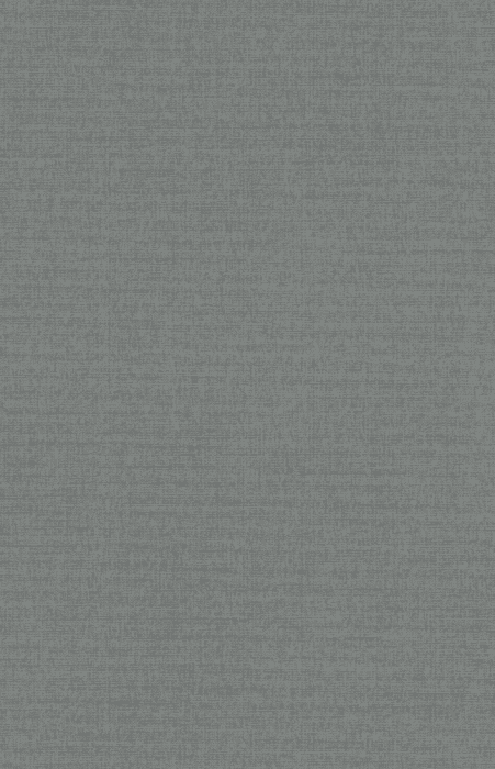 Tapete R&C Forum XII 2029 21015050 10,05 x 0,53 m - Detail 1