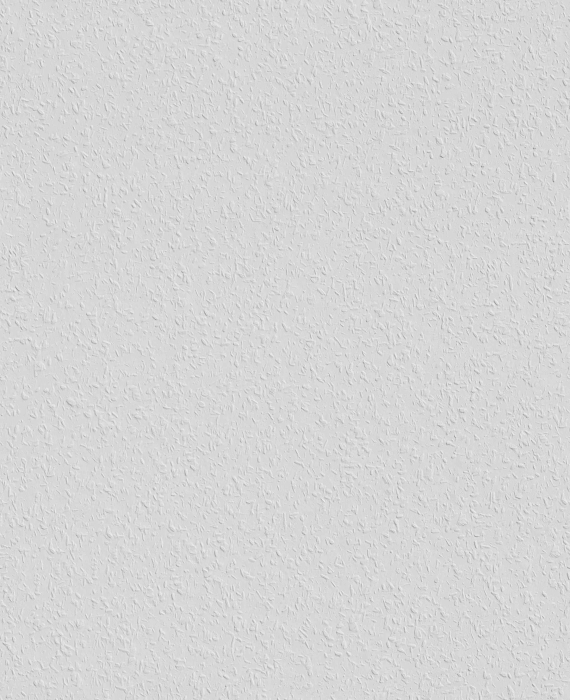 Tapete ERFURT-Rauhfaser 80 33,5/0,53m #PRO - Detail 1