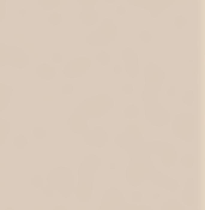 U16003 SD Dekorspan 19mm Sandbeige 2800x2100 DecoBoard P2,E1,D-s2,d0 - Detail 1