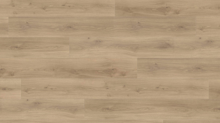 CN Laminatboden XXL Gran Via Eiche Emilia puro auth. soft TC 538769 (410755/411544) kkL - Detail 1