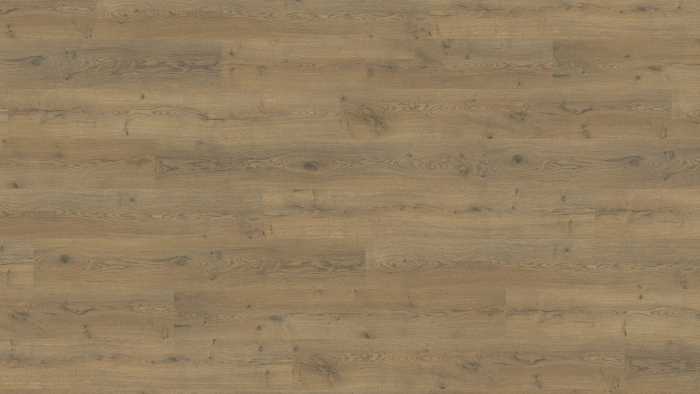 HARO Laminat - Best of Haro 2026 Sondered.NKL31 TC LA Eiche Lombardia strukt.matt 544673(411197)kkL - Detail 1