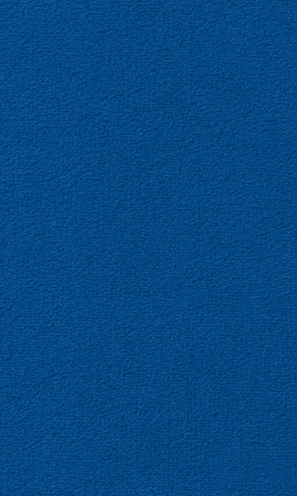 Textil-Belag Inside 2026 Berlin TS, Farbe 77VB02 400 cm Breit - Detail 1