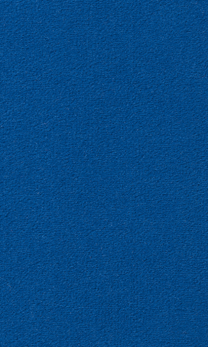 Textil-Belag Inside 2026 Berlin TS, Farbe 77VB02 500 cm Breit - Detail 1