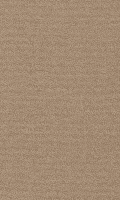 Textil-Belag Inside 2026 Berlin TS, Farbe 77VB30 500 cm Breit - Detail 1