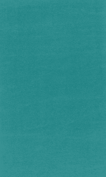 Textil-Belag Inside 2026 Berlin TS, Farbe 77VB49 500 cm Breit - Detail 1