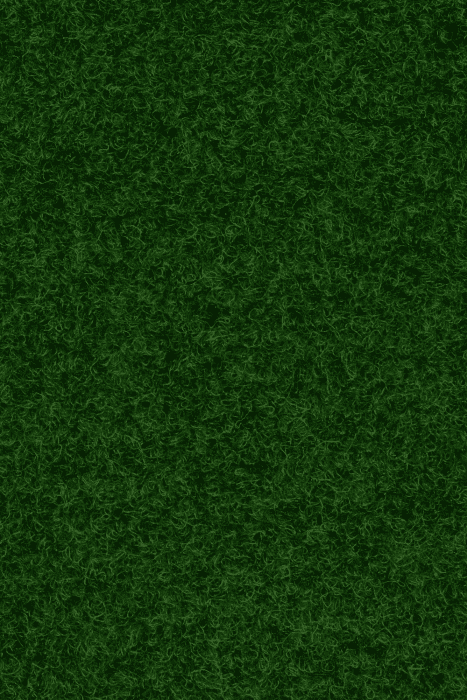 Textil-Belag Kunstrasen Polo Fb. 91Po01 400 cm Breite mit Noppen, Farbe 22 grün - Detail 1