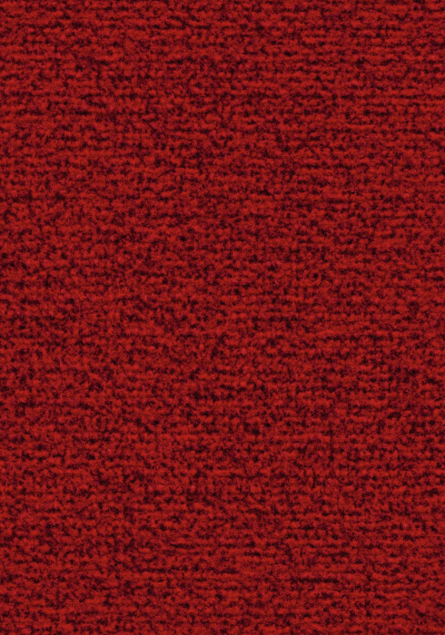 Textil-Belag Sauberlauf Coral Classic 62Sc06 Stärke 9 mm, 205 cm Breite, Farbe 4764 - taupe - Detail 1