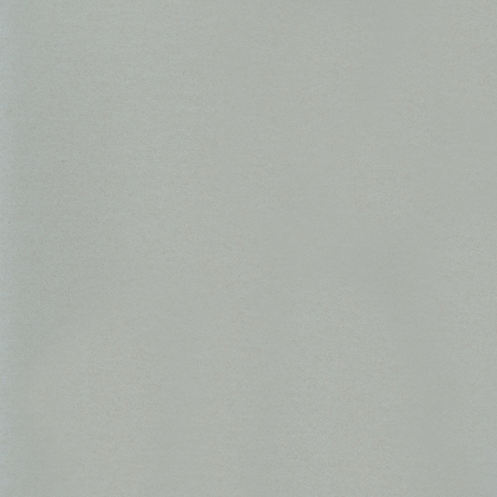 Linoleum DLW Uni-Walton 2,5mm Fb. 101-081 200cm Breite, Neocare-Beschichtung - Detail 1