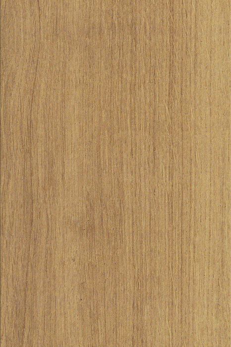 Korkfertigparkett Colares 95CO33 1833 x 185 x 11,5 mm, NPC-Oberfläche - Detail 1