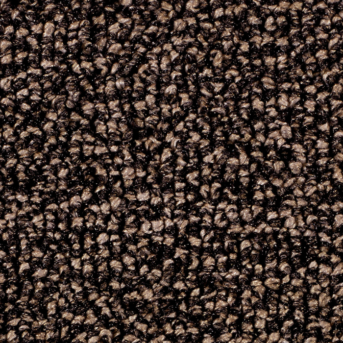 Sauberlauf Care 47.04 beige, Bahnenware 200 cm #picobello - Detail 1