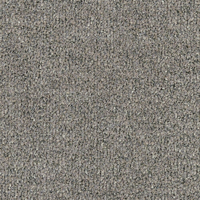 Sauberlauf Elana 62.03 grau, Bahnenware 200 cm #picobello - Detail 1