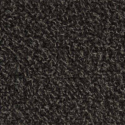 Sauberlauf Outdoor 85.01 anthrazit, Bahnenware 100 cm #picobello - Detail 1