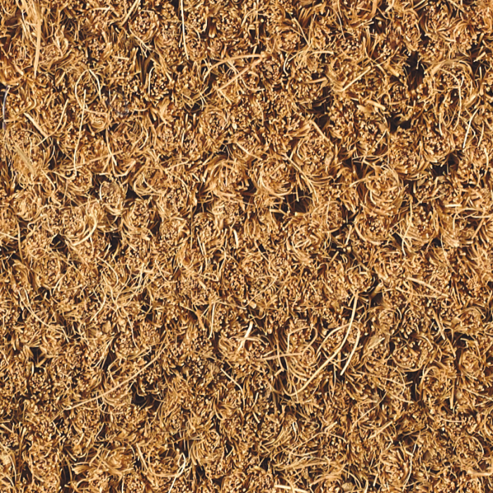 Sauberlauf Kokos 20mm natur, Bahnenware 200 cm #picobello - Detail 1