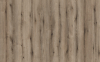 K5575 IR MDF Dekor 8,0 mm Eiche Evoke Fossil 2.800x2.070 Kaindl , CA, E1, D-s2, d0 - More 2