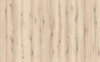 K2442 AN HPL Platten 0,8mm Eiche EVOKE LIGHT 3.050x1.350 Kaindl  - More 2