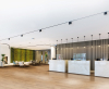 Haro Wall Design Stripe Eiche hell furniert 2670x572,5x19mm  Wandverkleidung  - More 2