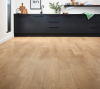 Casa Nova Monaco 2026 Monaco 2.5mm NS 0,55mm Fb. 01 - 5144 (213) 1219,2 x 177,8 - More 2