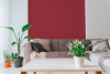 Tapete Casa Nova Uni Colours 2027 21020723 10,05 x 0,53 m - More 3