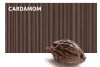 megawood-Terrassendiele 21x242mm - 4,2m DYNUM massiv cardamom  Service - More 3