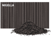 megawood-Terrassendiele 25x293mm - 4,2m DYNUM massiv nigella  Service - More 3
