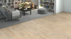 Laminat-Best of Haro 2026 Sondered. NKL31 TC LA Eiche Siena samtweiß strukt.matt 544655(411204)kkL - More 4