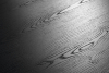 K5574 IR Dekorspan 18,0 mm Eiche Evoke Sunset 2.070x2800 Kaindl P2CA, E1D-s2, d0 - More 4